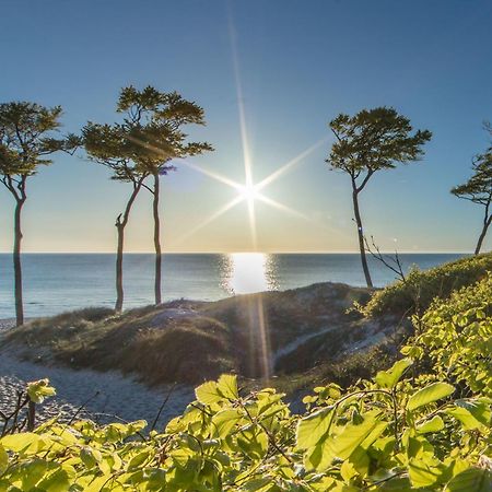 Fewo "Prerow" Exteriér fotografie