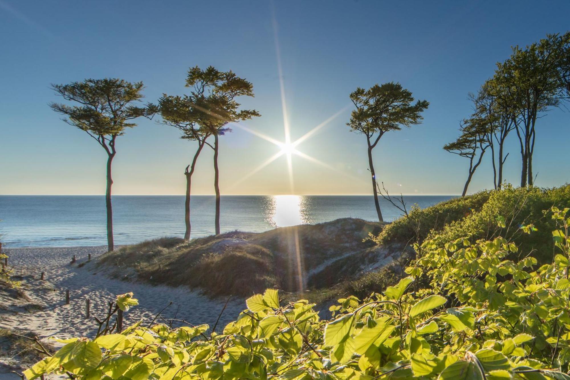 Fewo "Prerow" Exteriér fotografie